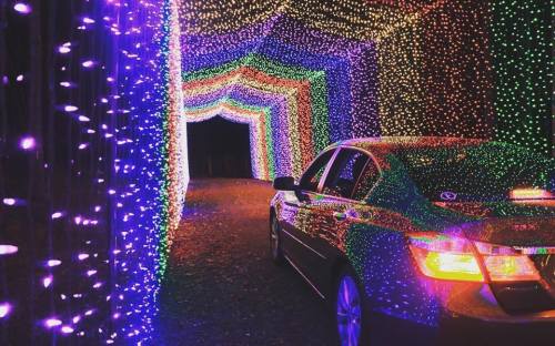 A car drives through a colorful tunnel of bright, twinkling lights in a festive display.