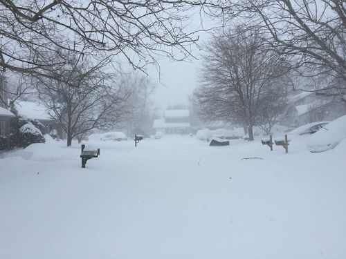 A snowy street scene with heavy snowfall, obscured visibility, and snow-covered cars and mailboxes.