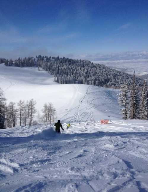 A skier descends a snowy slope surrounded by trees and mountains under a clear blue sky.