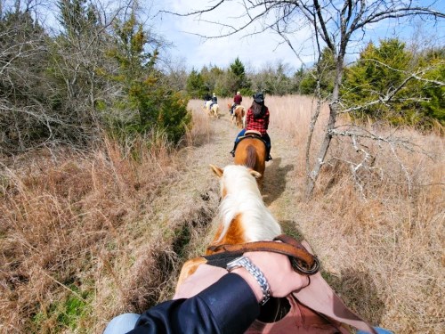 A group of people riding horses along a grassy trail surrounded by trees and tall grass on a sunny day.