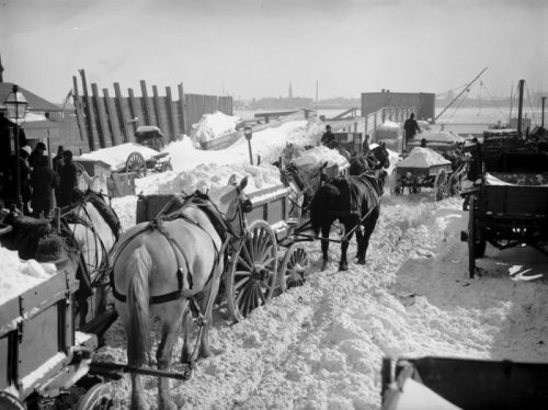 Horses pulling carts through a snowy street, with buildings and piles of snow in the background.