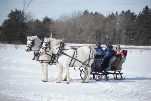 A horse-drawn sleigh in the snow, with two adults and a child enjoying a winter ride. Trees in the background.