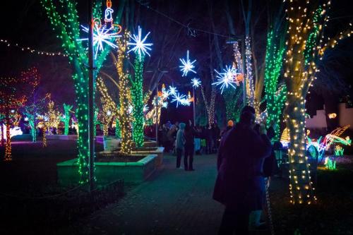 A festive park illuminated with colorful lights and decorations, featuring trees and stars, with people enjoying the display.