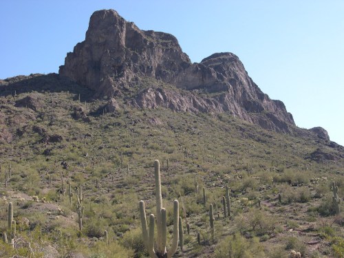 A rocky mountain rises above a desert landscape dotted with tall cacti and sparse vegetation under a clear blue sky.