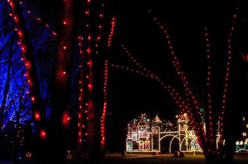 Colorful holiday lights illuminate trees and a festive display in a dark night setting.