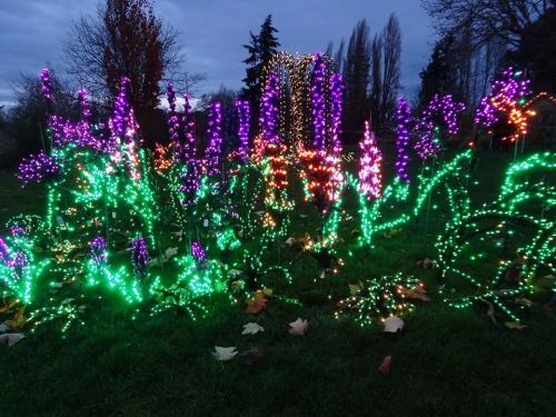 Colorful illuminated flowers in purple and green lights, set against a twilight sky with trees in the background.