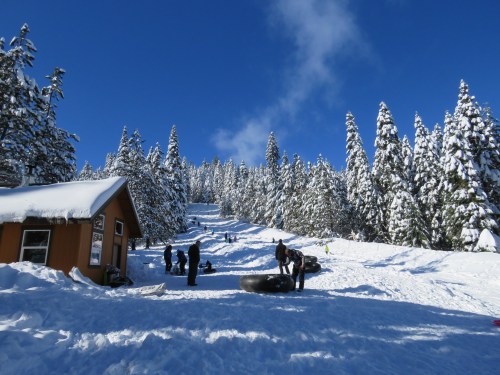 A snowy landscape with people tubing and playing in the snow, surrounded by tall evergreen trees and a cozy cabin.