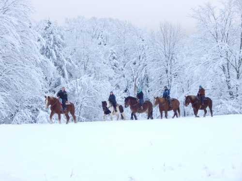 A group of riders on horseback traverses a snowy landscape, surrounded by trees covered in white snow.