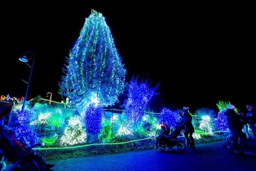 A brightly lit Christmas tree surrounded by blue and white lights, with people enjoying the festive display at night.
