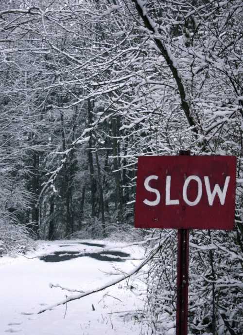 A red sign reading "SLOW" stands beside a snowy road surrounded by trees covered in snow.