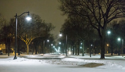A snowy, deserted street at night, lined with trees and illuminated by streetlights.