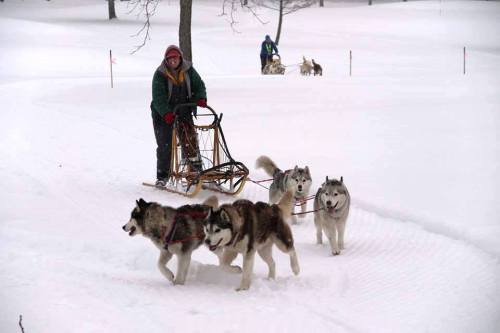 A person sledding with a team of huskies in a snowy landscape, with another sled team in the background.