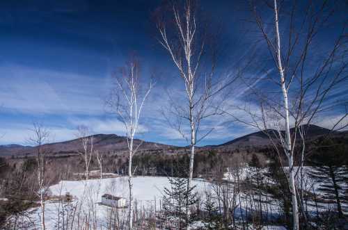 A snowy landscape with bare trees, mountains in the background, and a small cabin under a blue sky.