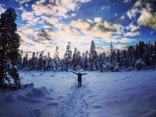 A person stands in a snowy landscape, arms outstretched, surrounded by tall trees and a colorful sky.