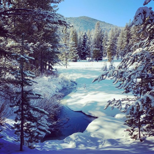 A serene winter landscape with snow-covered trees, a frozen river, and mountains in the background under a clear blue sky.