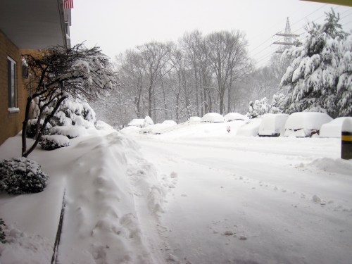 A snowy scene showing a road and parked cars covered in thick snow, with trees in the background and a cloudy sky.