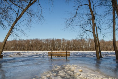 A wooden bench surrounded by icy water, framed by bare trees under a clear blue sky.