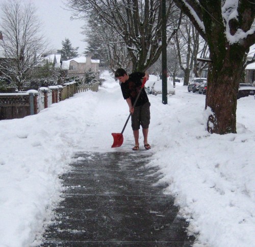 A person in shorts and sandals shovels snow from a sidewalk in a residential area. Snow covers the ground and trees.