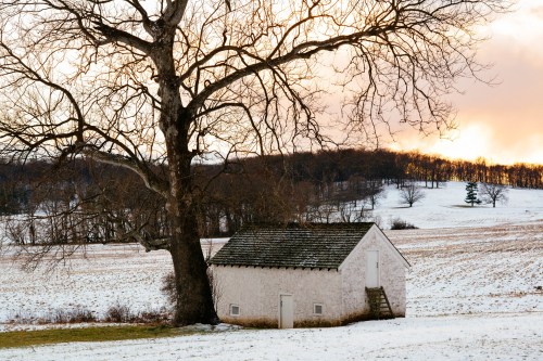 A small white house beside a large tree in a snowy field, with a sunset illuminating the sky in the background.