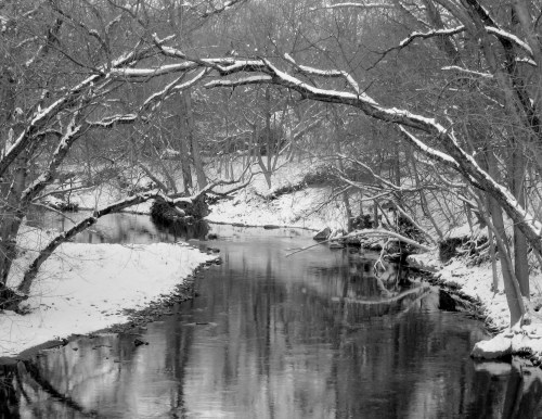 A serene, snowy landscape with a river reflecting trees and branches arching overhead in black and white.