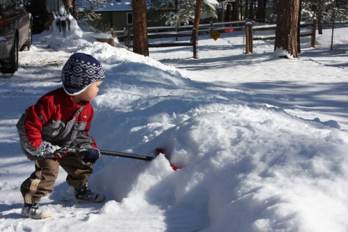 A child in winter clothing shovels snow in a snowy landscape, surrounded by trees and a house in the background.