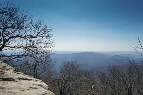 A panoramic view of mountains under a clear blue sky, framed by bare tree branches in the foreground.