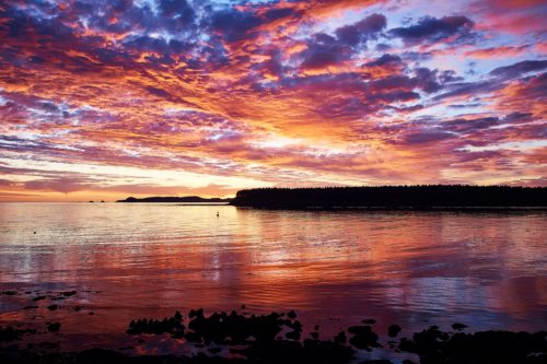 A vibrant sunset over calm waters, with colorful clouds reflecting on the surface and silhouettes of distant trees.