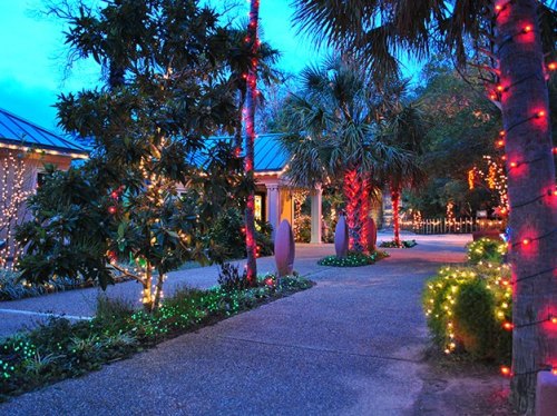 A pathway lined with colorful holiday lights and palm trees, creating a festive atmosphere in the evening.