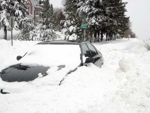 A black car partially buried in deep snow on a residential street, surrounded by snow-covered trees.