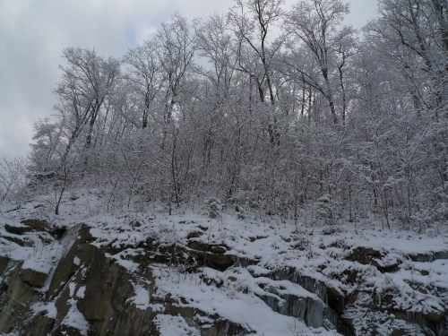 Snow-covered trees atop a rocky cliff, with a cloudy sky above.