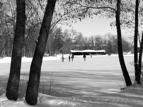 Black and white image of people ice skating on a frozen lake, surrounded by trees and a snowy landscape.