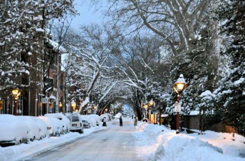 A snowy street lined with trees and lamp posts, with cars covered in snow and a person walking in the distance.