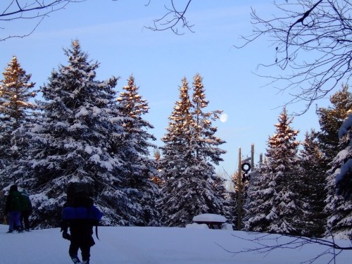A snowy landscape with tall evergreen trees, a clear sky, and a person walking with a backpack in the foreground.
