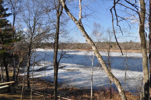 A serene landscape featuring a partially frozen lake surrounded by trees under a clear blue sky.