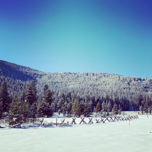 Snow-covered landscape with evergreen trees and a wooden fence, set against a backdrop of mountains under a clear blue sky.