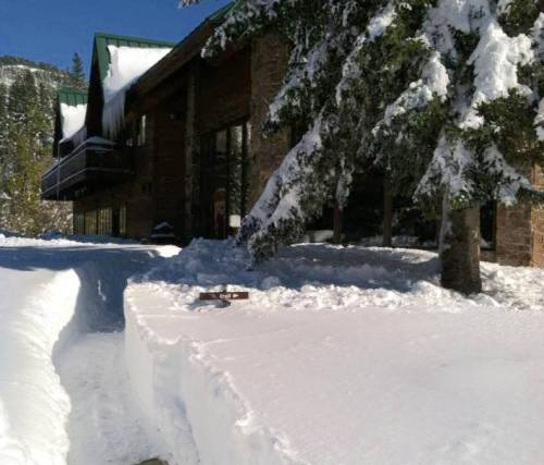 A snowy landscape with a building in the background, surrounded by tall trees and a clear path through the snow.