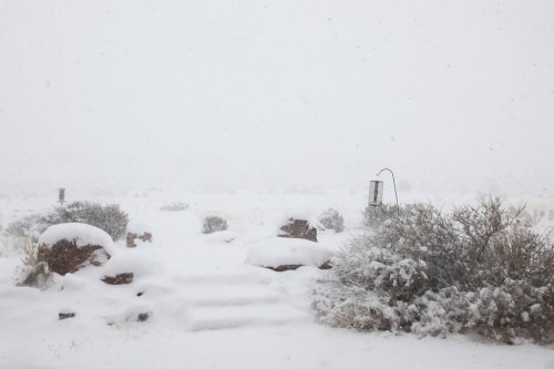 A snowy landscape with rocks and shrubs, obscured by heavy snowfall and low visibility.