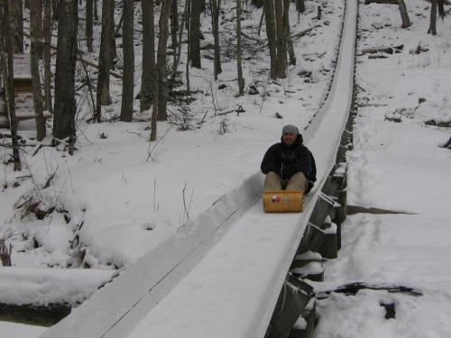 A person sledding down a snowy track in a forest, surrounded by trees and winter scenery.