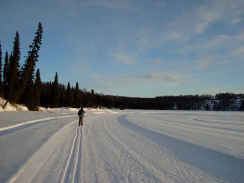 A person skis on a snowy landscape, surrounded by tall evergreen trees and a calm lake under a blue sky.