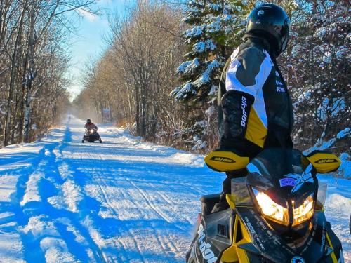 Two snowmobiles on a snowy trail surrounded by trees, one rider in the foreground looking back at another.