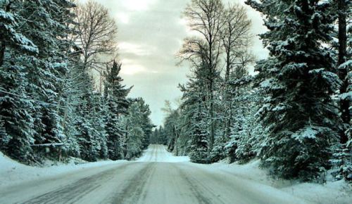 A snow-covered road surrounded by tall trees, creating a serene winter landscape under a cloudy sky.