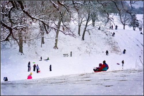 A snowy landscape with people sledding and playing in the snow, surrounded by bare trees and a gentle slope.