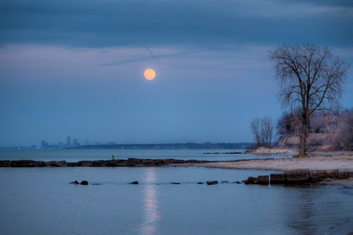 A serene lakeside scene at dusk, featuring a full moon, calm water, and a silhouette of a tree against a cloudy sky.