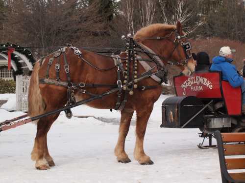 A brown horse in harness stands beside a red sleigh in a snowy landscape, with a person seated in the sleigh.