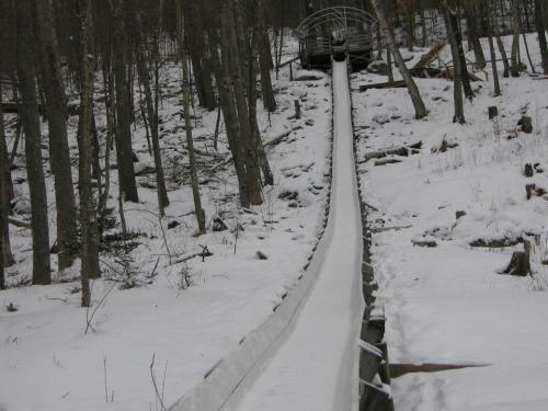 A snowy slide descends through a forest, leading to a wooden platform in the background.