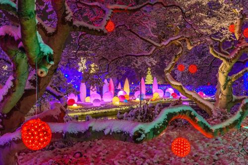 A winter scene with snow-covered trees and colorful ornaments, illuminated by vibrant lights in a festive garden.