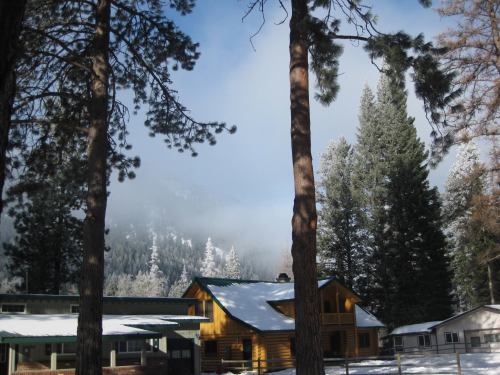 A snowy landscape featuring a yellow cabin surrounded by tall pine trees and misty mountains in the background.