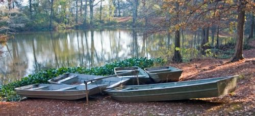 Five small boats are lined up on the shore of a calm lake, surrounded by trees and autumn foliage.