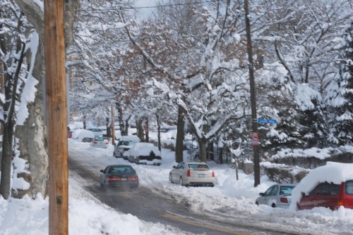 A snowy street lined with trees, cars covered in snow, and a clear sky in the background.