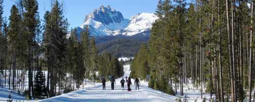 A snowy trail surrounded by tall trees, with people skiing towards majestic mountains in the background.